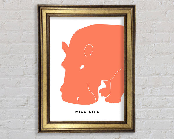 Orange Hippo Framed Print