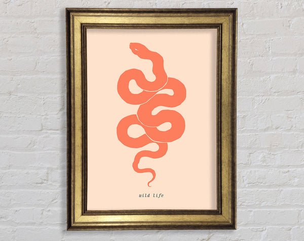Flash Snake Framed Print