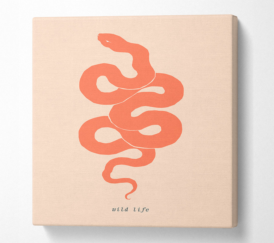  A Canvas Print of Flash Snake Canvas Art