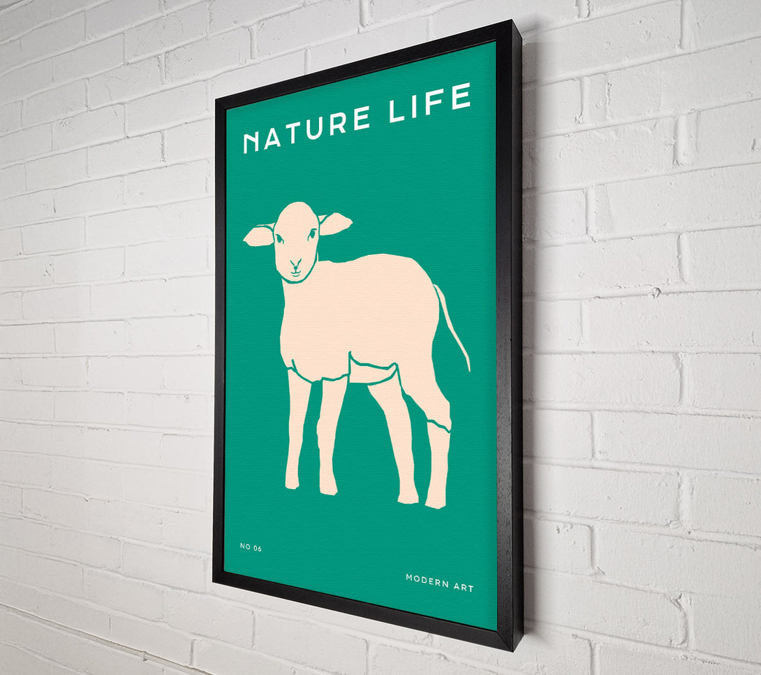  A Canvas Print of The Little Lamb Canvas Wall Art