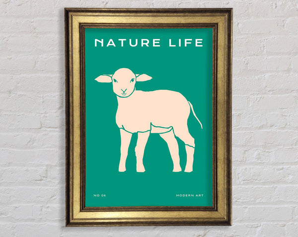 The Little Lamb Framed Print