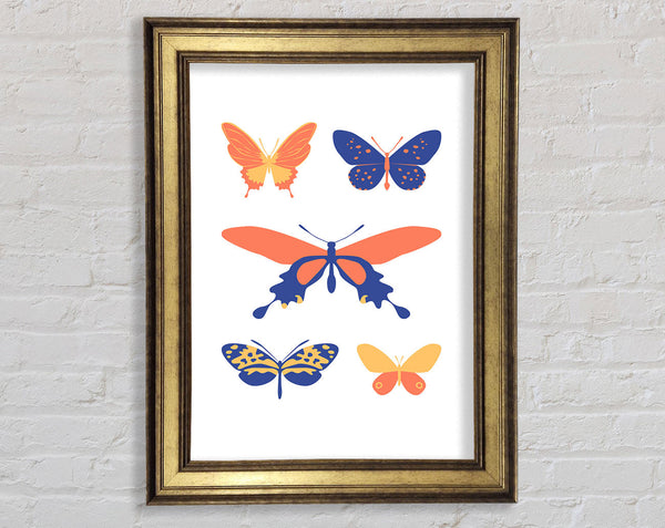 Modern Butterfly Framed Print