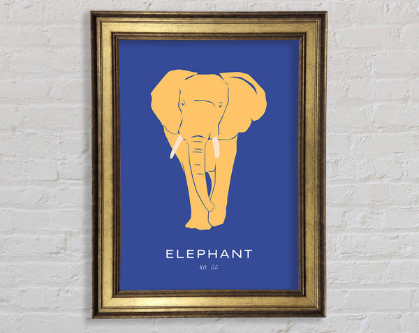 Bold Elephant Framed Print