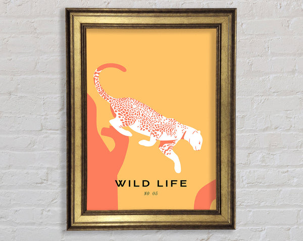 Leopard Leap Framed Print