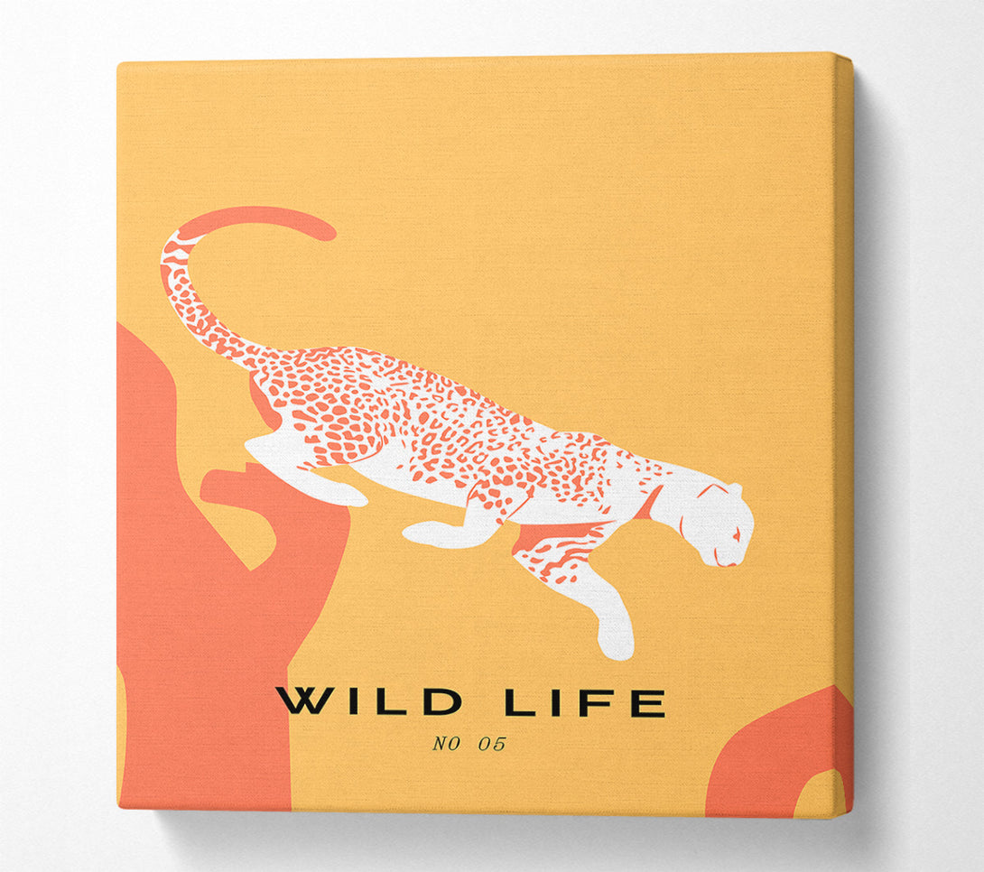  A Canvas Print of Leopard Leap Canvas Art