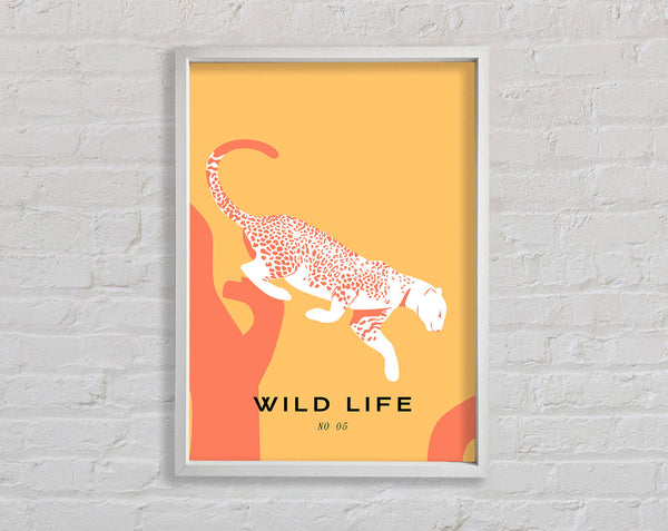 Leopard Leap Framed Print