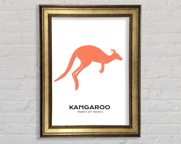 Kangaroo Bounce Framed Print