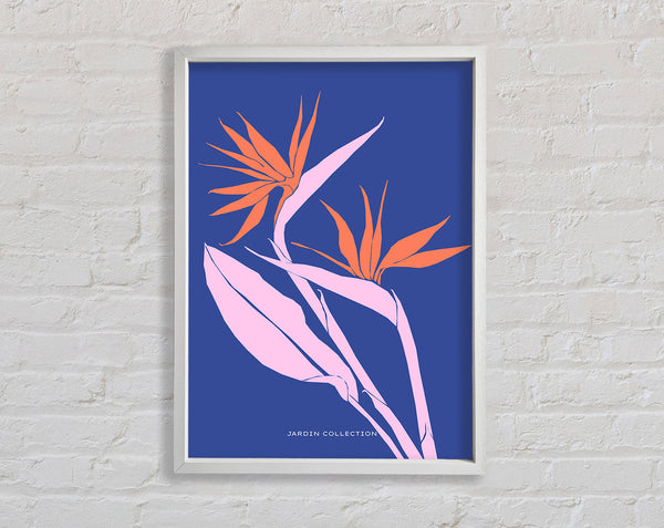 Bird Of Paradise Flower Framed Print
