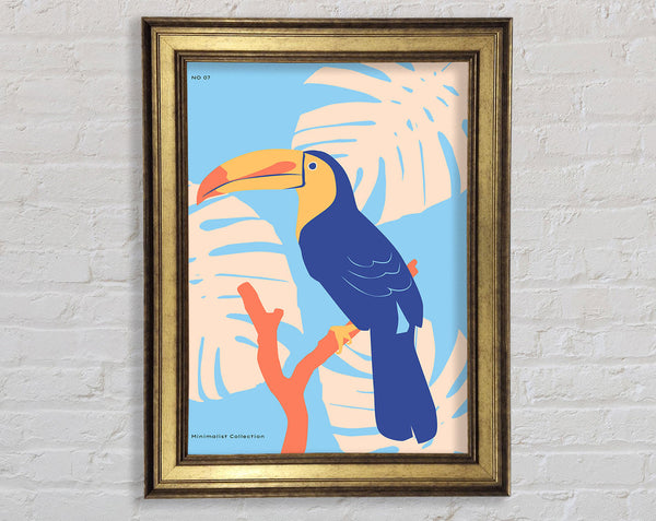 Paradise Toucan Framed Print