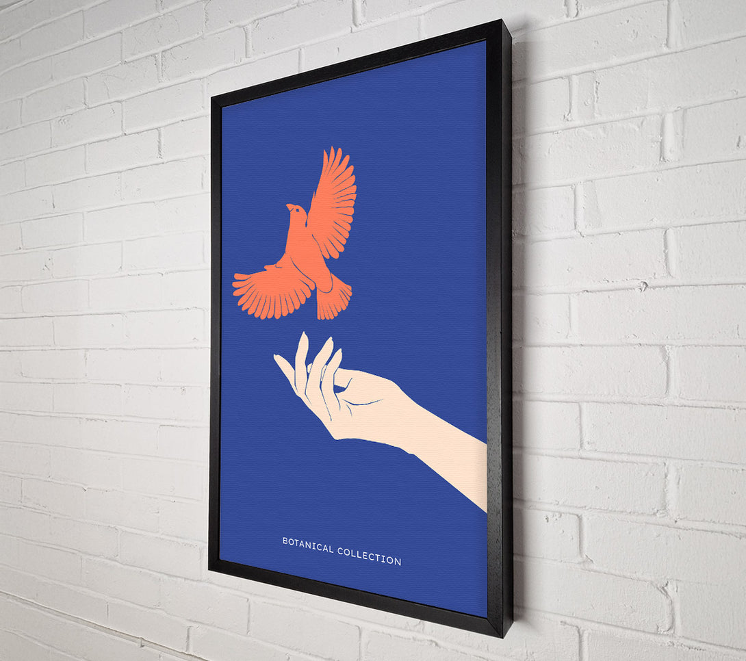  A Canvas Print of Dove From A Hand Flight Canvas Print