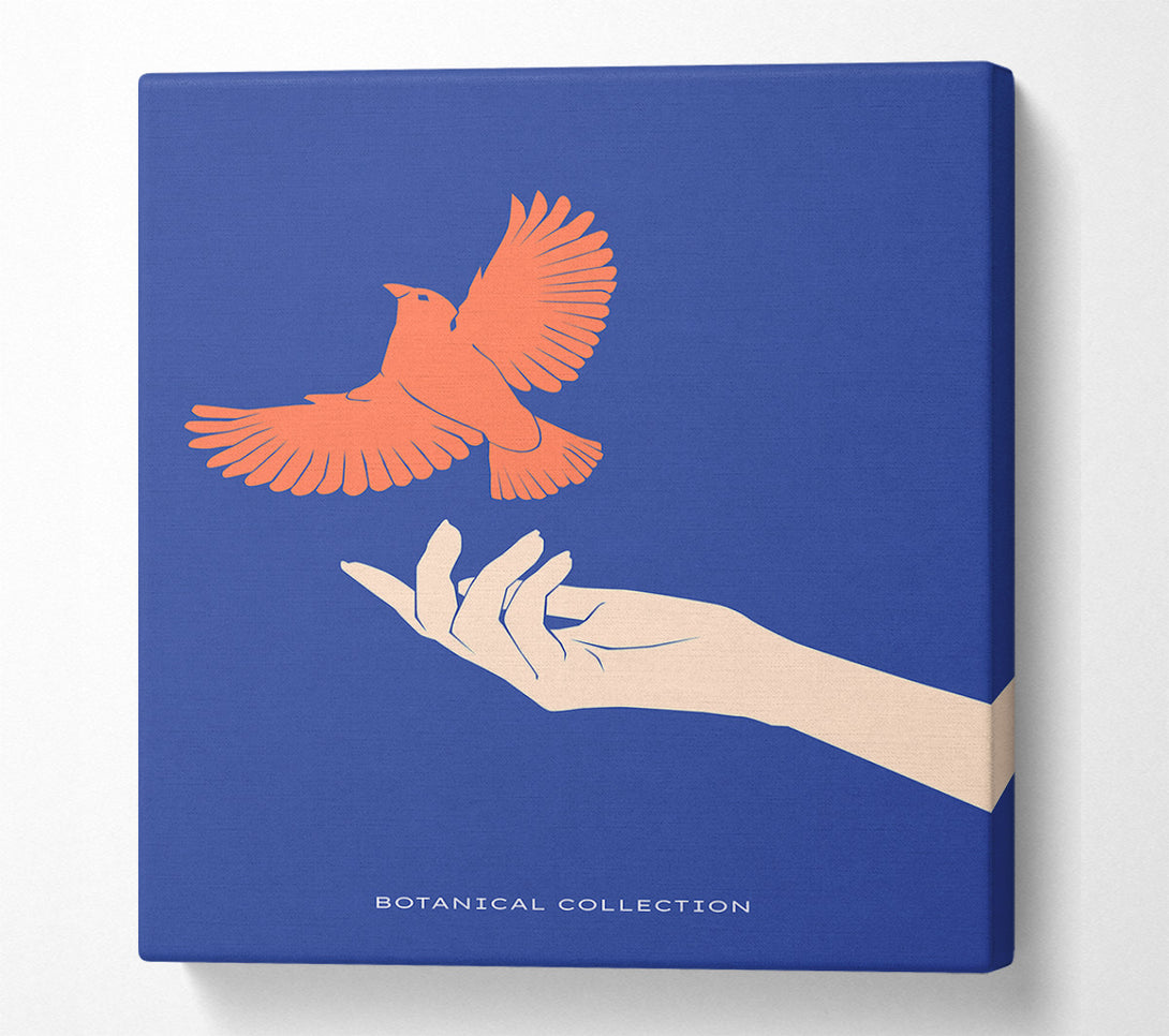  A Canvas Print of Dove From A Hand Flight Canvas Print