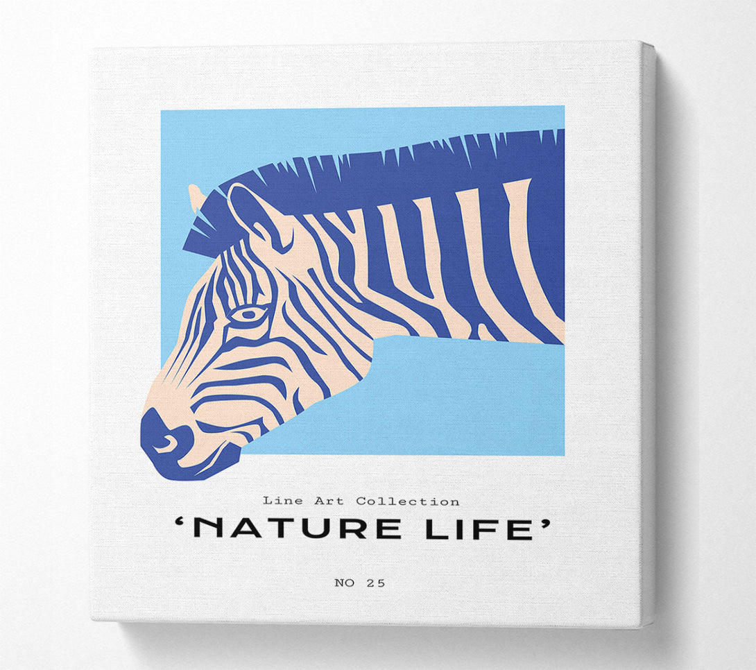  A Canvas Print of Zebra Nature Canvas Wall Art