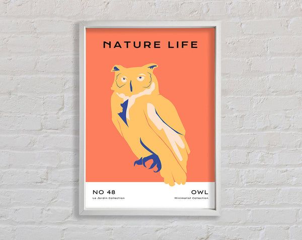 The Wise Owl Framed Print