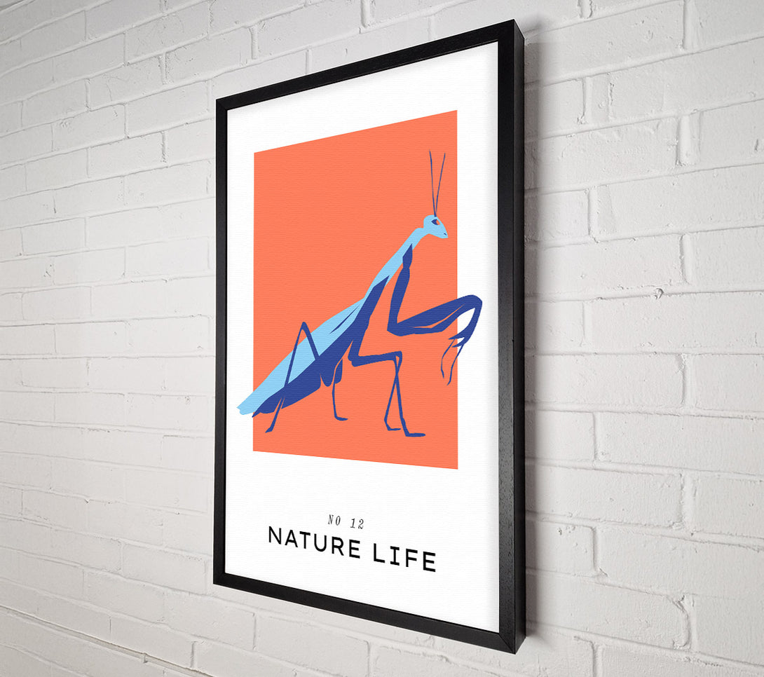  A Canvas Print of Praying Mantis Crawling Canvas Print