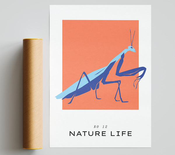 Praying Mantis Crawling Giclee Print