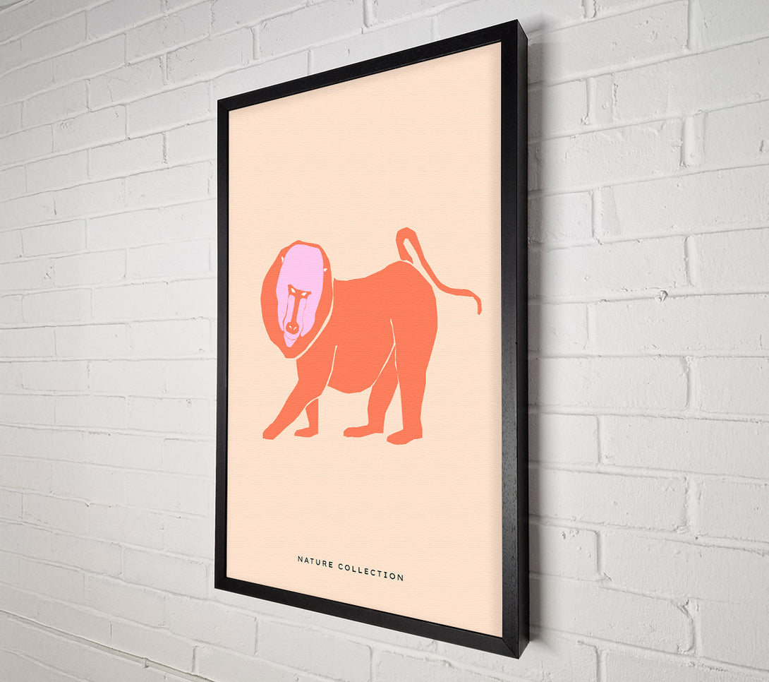  A Canvas Print of Orange Mandrill Canvas Print