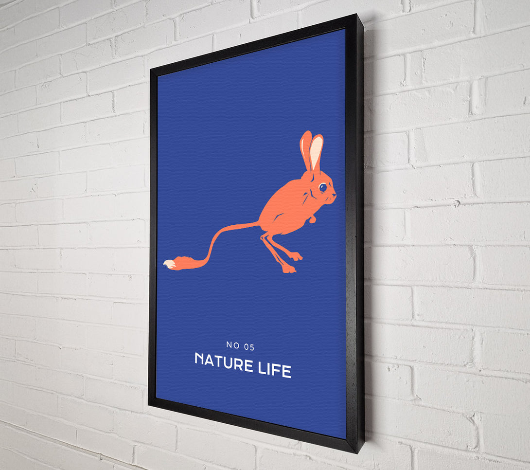  A Canvas Print of Bouncing Jerboa Canvas Wall Art