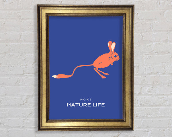 Bouncing Jerboa Framed Print