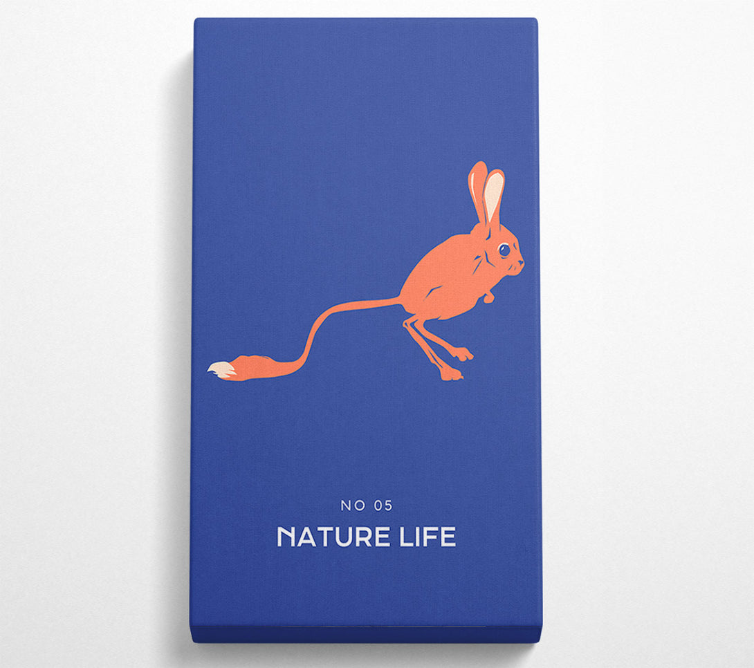  A Canvas Print of Bouncing Jerboa Canvas Wall Art
