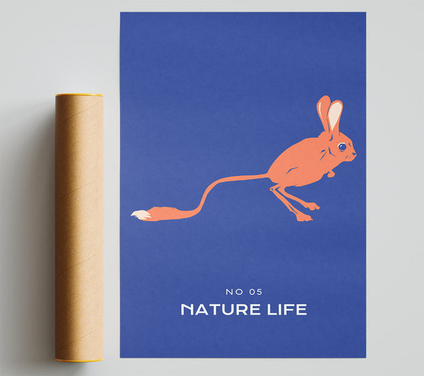 Bouncing Jerboa Print