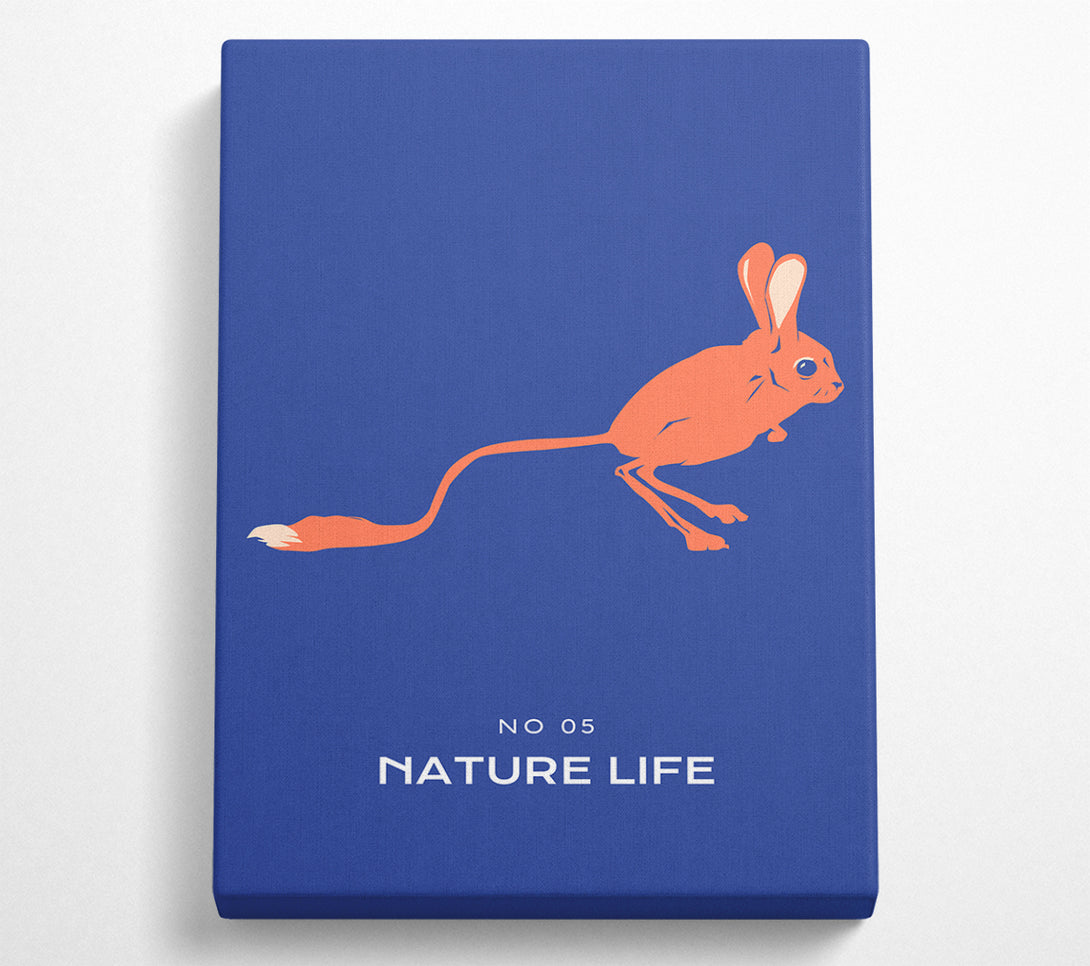  A Canvas Print of Bouncing Jerboa Canvas Wall Art
