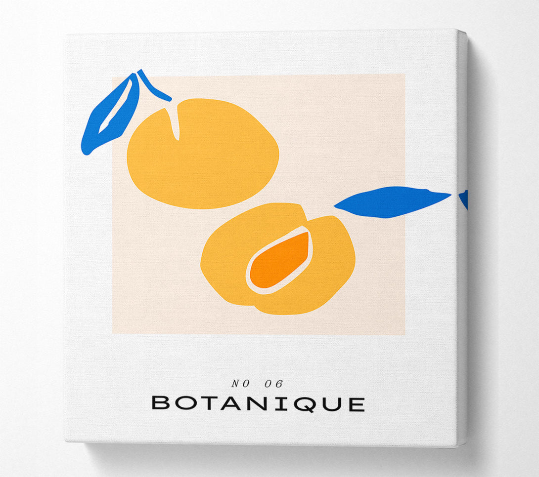  A Canvas Print of Yellow Peaches Canvas Print