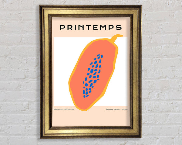 Full Of Seeds Framed Print