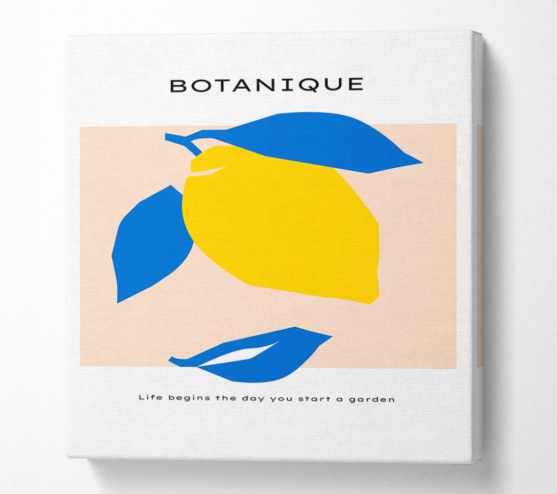 A Canvas Print of Bohemian Lemon Canvas Art