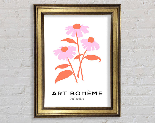 The Pink Daisies Framed Print