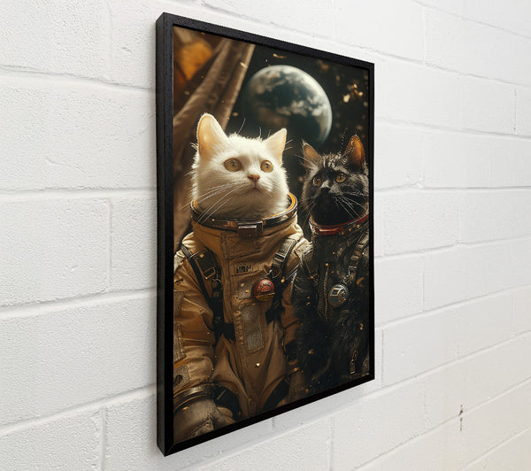 Astronaut Cats