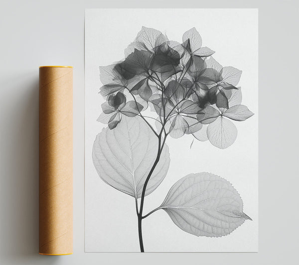 Autumn Leaf X-Ray Print