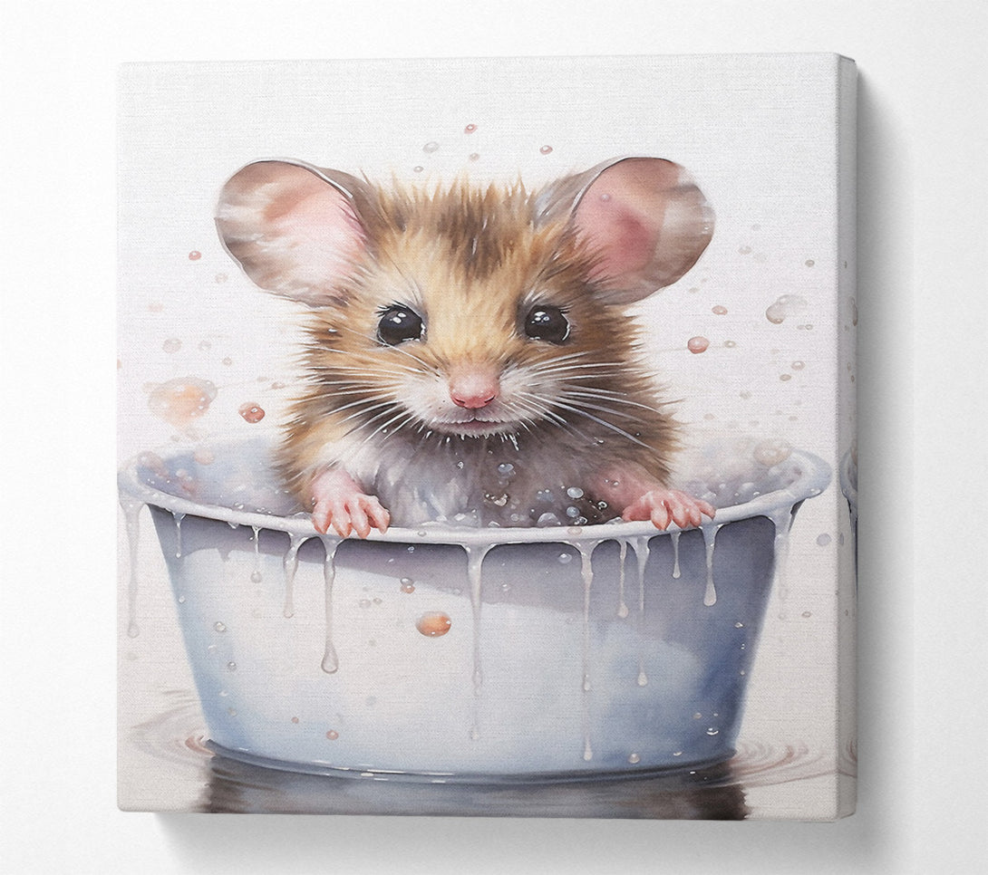  A Canvas Print of Baby Mouse Bath Canvas Art