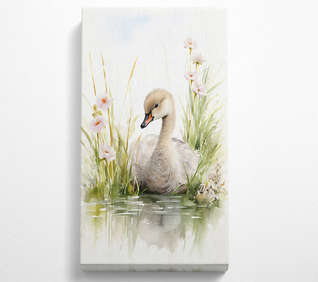  A Canvas Print of Baby Swan Swim Canvas Wall Art