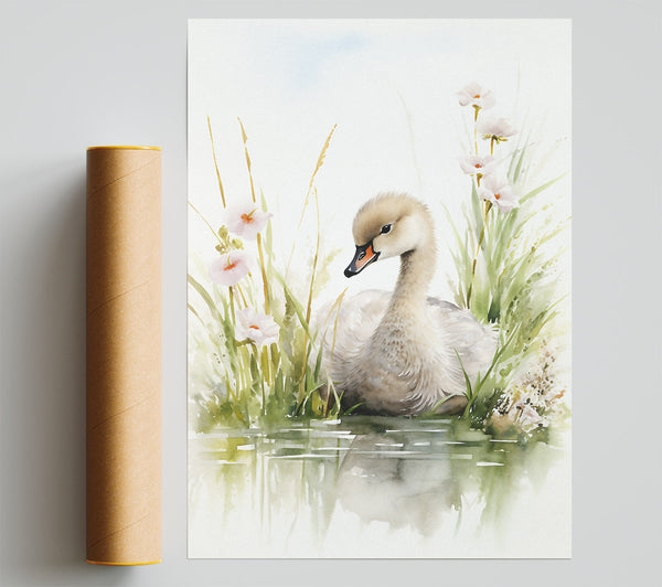 Baby Swan Swim Print