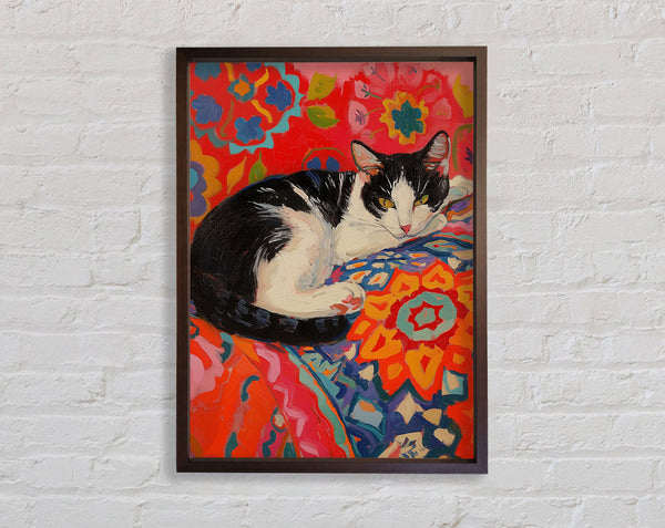 Walnut And Walnut Cat