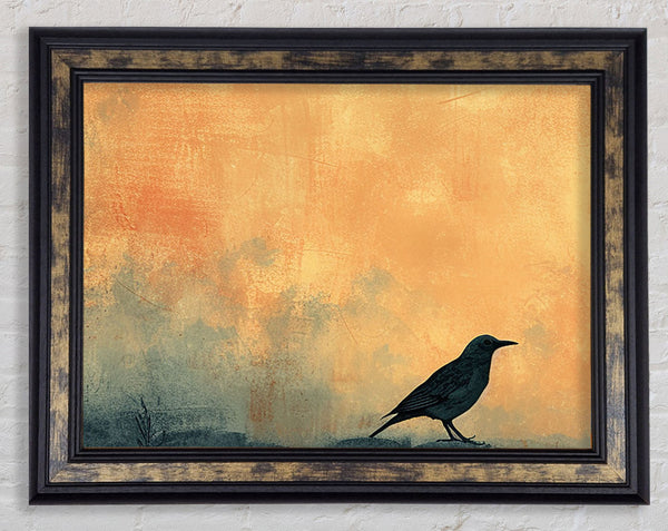 Walnut Bird Sunset Framed Print