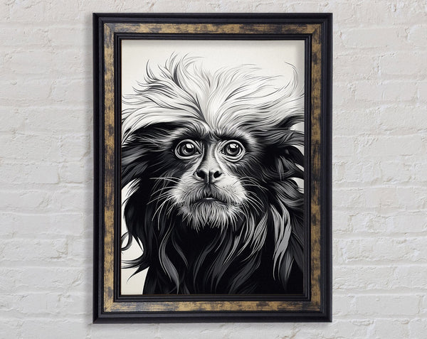 Walnut Lion Tamarin Framed Print