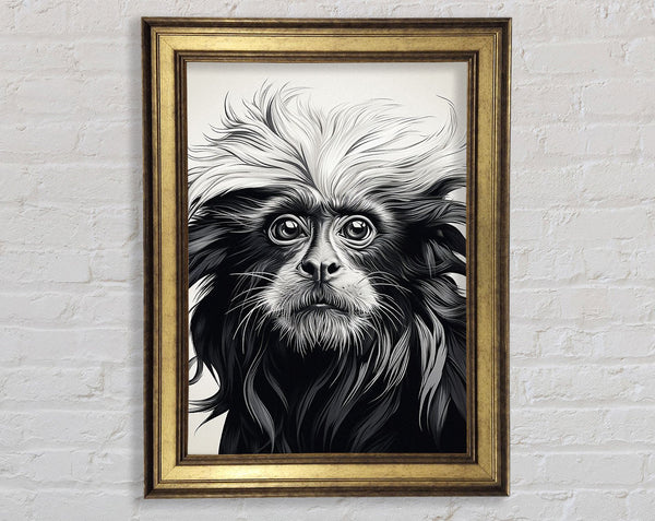 White Lion Tamarin Framed Print