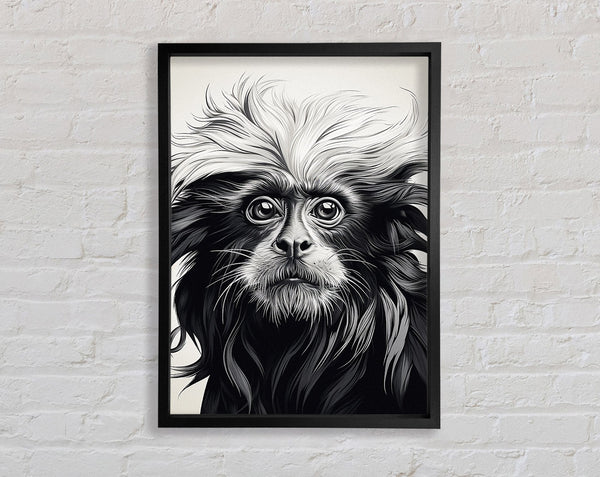 Black Lion Tamarin Framed Print