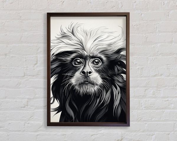 Walnut Lion Tamarin Framed Print