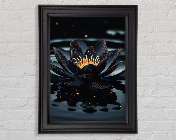 Black Lotus On A Lake Framed Print