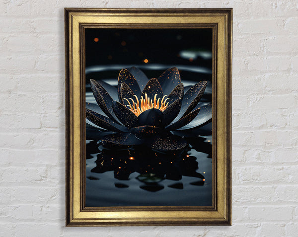 White Lotus On A Lake Framed Print