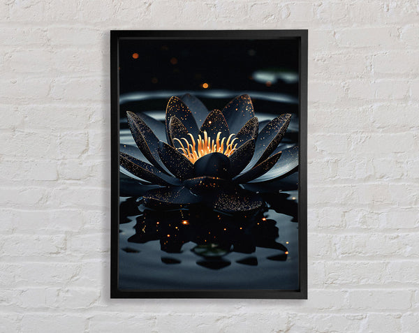 Black Lotus On A Lake Framed Print