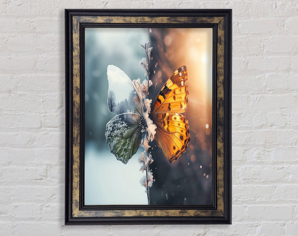 Butterfly Seasons Framed Print