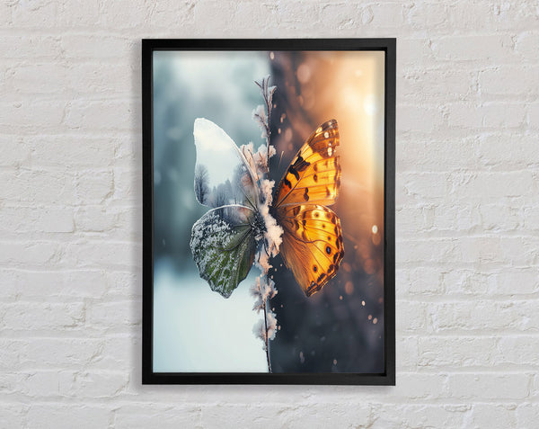 Butterfly Seasons Framed Print