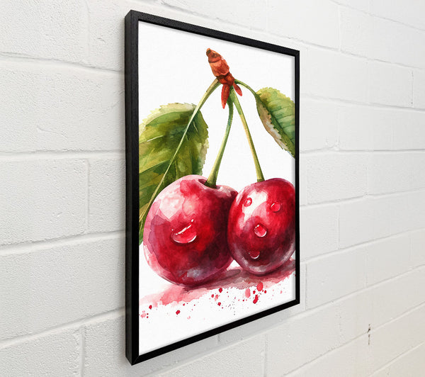 Cherries Watercolour