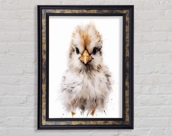Chick Stare Framed Print