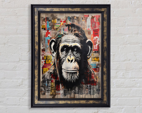 Chimpanzee Magazine Framed Print