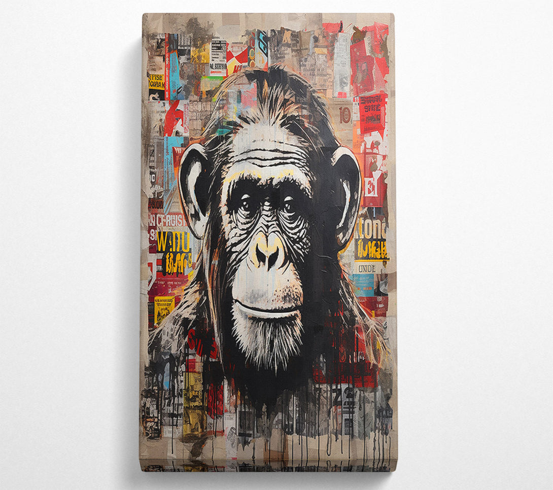  A Canvas Print of Chimpanzee Magazine Canvas Art