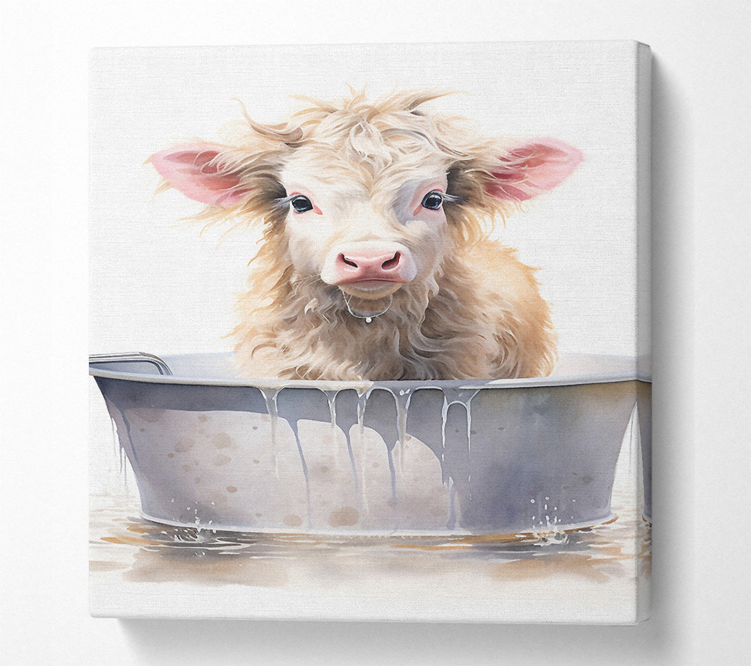  A Canvas Print of Cow Bath Canvas Print